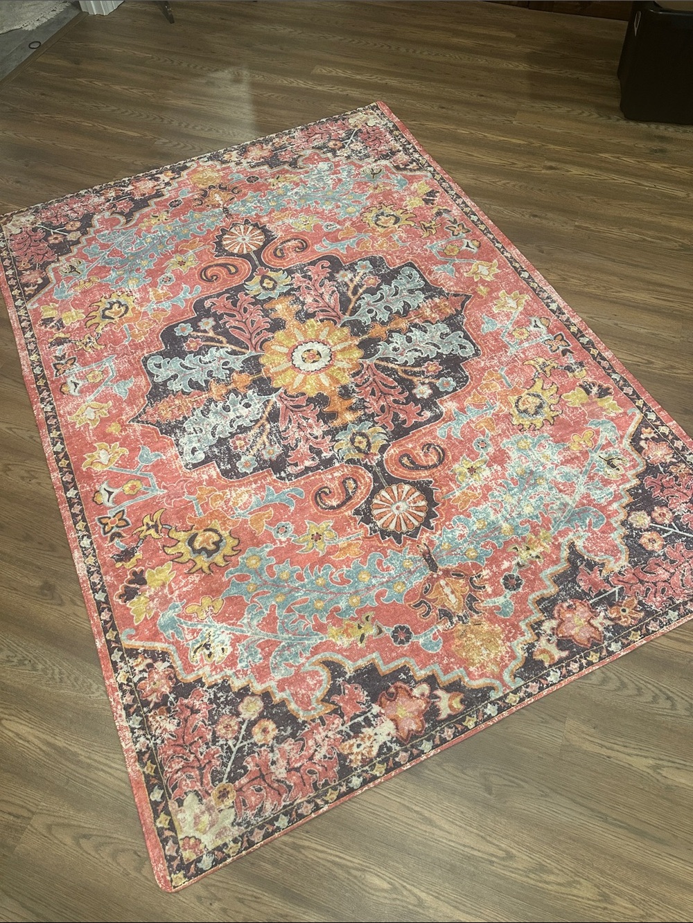 Coral and Blue Medallion Area Rug